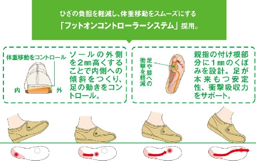 図解