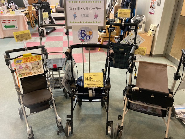 全体写真